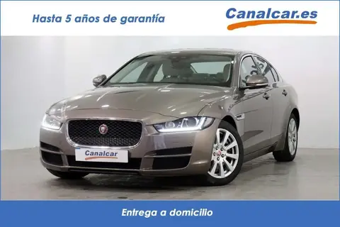 Used JAGUAR XE Diesel 2016 Ad 