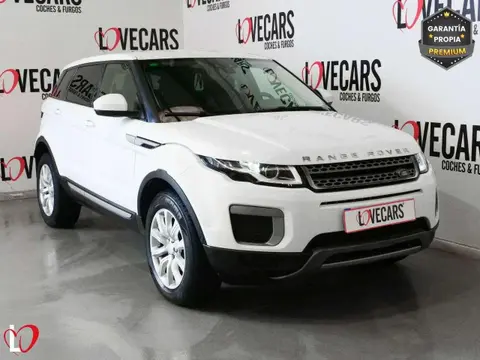 Used LAND ROVER RANGE ROVER EVOQUE Diesel 2017 Ad 