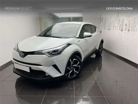 Used TOYOTA C-HR Hybrid 2019 Ad 