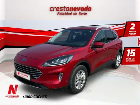 Used FORD KUGA Hybrid 2020 Ad 