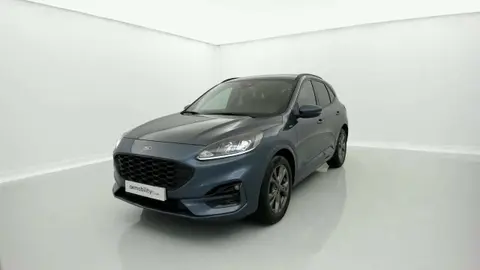 Used FORD KUGA Petrol 2022 Ad 