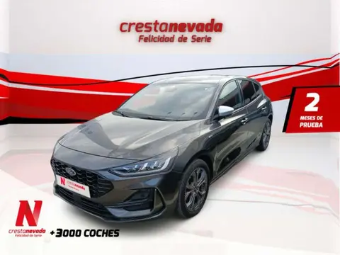 Annonce FORD FOCUS Hybride 2022 d'occasion 