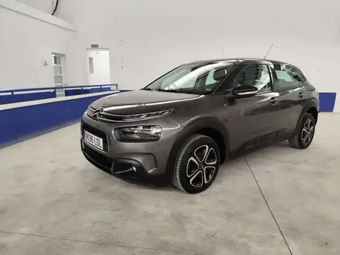 Annonce CITROEN C4 Essence 2019 d'occasion 