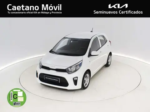 Used KIA PICANTO Petrol 2023 Ad 