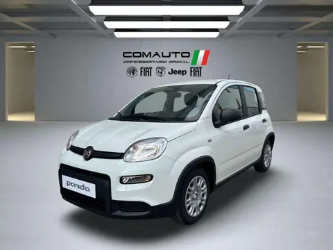 Used FIAT PANDA Petrol 2024 Ad 