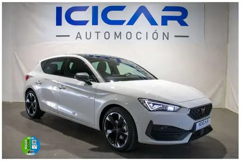 Used CUPRA LEON Petrol 2024 Ad 