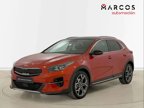 Used KIA XCEED Petrol 2021 Ad 