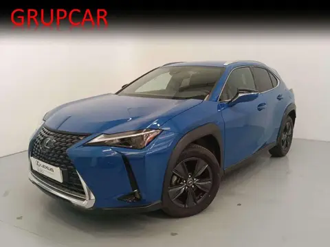 Used LEXUS UX Hybrid 2023 Ad 