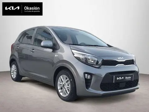 Used KIA PICANTO Petrol 2024 Ad 