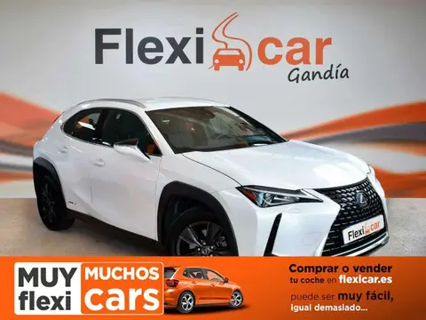 Annonce LEXUS UX Hybride 2020 d'occasion 