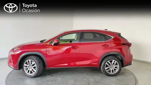 Used LEXUS NX Hybrid 2020 Ad 