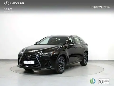 Used LEXUS NX Hybrid 2024 Ad 