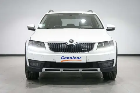 Annonce SKODA OCTAVIA Diesel 2015 d'occasion 