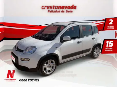 Used FIAT PANDA Hybrid 2023 Ad 