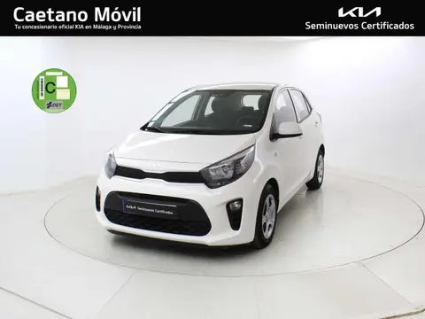 Annonce KIA PICANTO Essence 2023 d'occasion 