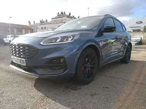 Annonce FORD KUGA Essence 2023 d'occasion 