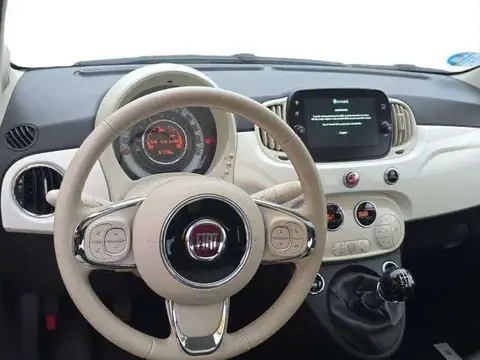 Used FIAT 500 Petrol 2022 Ad 