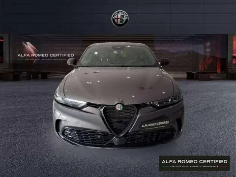 Annonce ALFA ROMEO TONALE Diesel 2023 d'occasion 