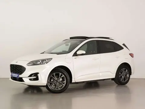 Used FORD KUGA Electric 2022 Ad 