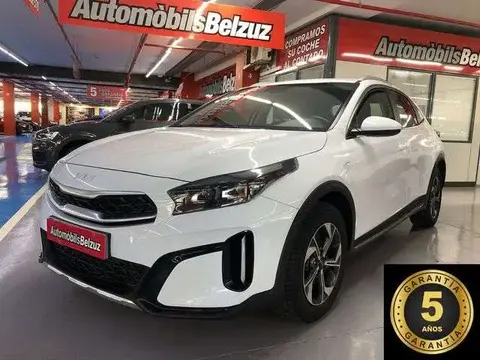 Annonce KIA XCEED Essence 2022 d'occasion 