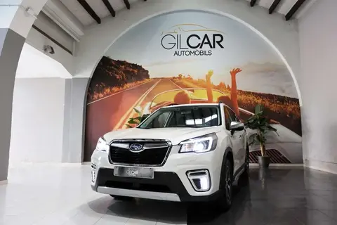 Used SUBARU FORESTER Hybrid 2020 Ad 