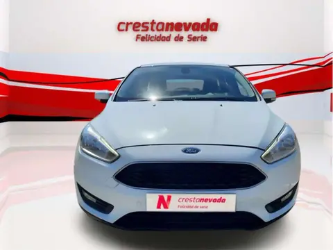 Used FORD FOCUS Diesel 2018 Ad 