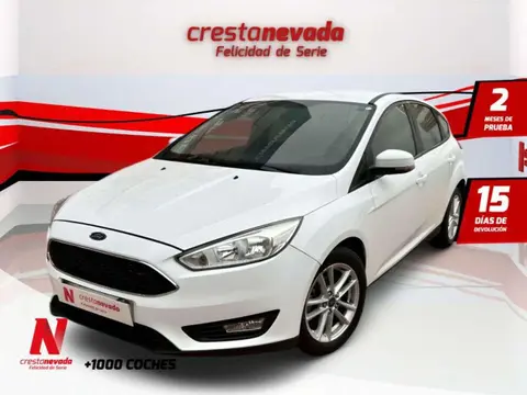 Annonce FORD FOCUS Diesel 2018 d'occasion 