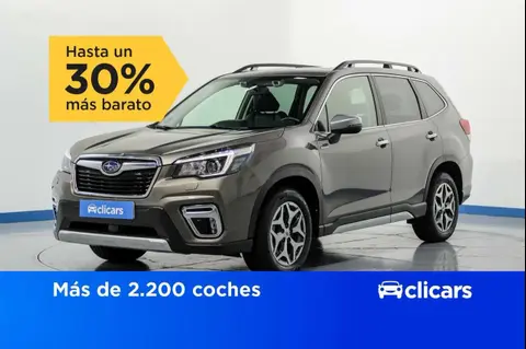 Used SUBARU FORESTER Hybrid 2020 Ad 