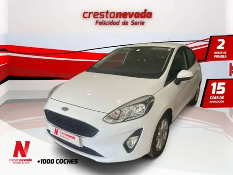 Annonce FORD FIESTA Diesel 2017 d'occasion 