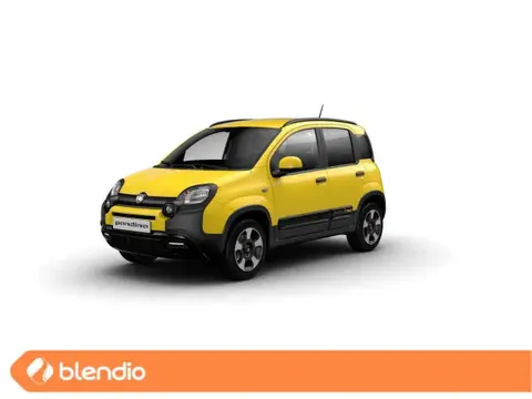 Used FIAT PANDA Hybrid 2024 Ad 