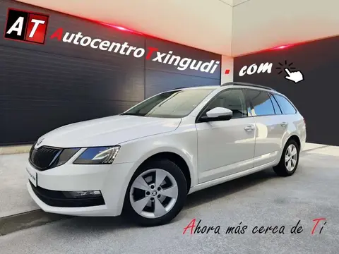 Annonce SKODA OCTAVIA Diesel 2019 d'occasion 