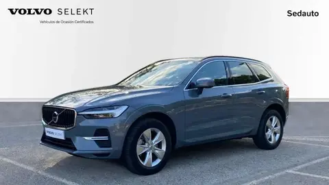 Used VOLVO XC60 Diesel 2023 Ad 