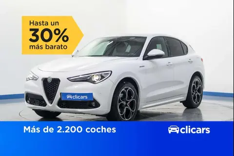 Used ALFA ROMEO STELVIO Diesel 2021 Ad 