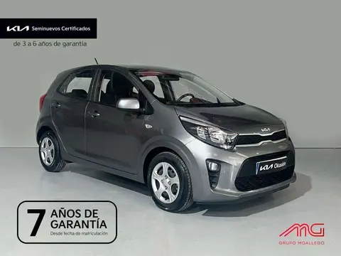 Used KIA PICANTO Petrol 2023 Ad 