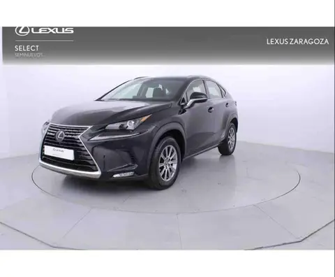 Annonce LEXUS NX Hybride 2019 d'occasion 