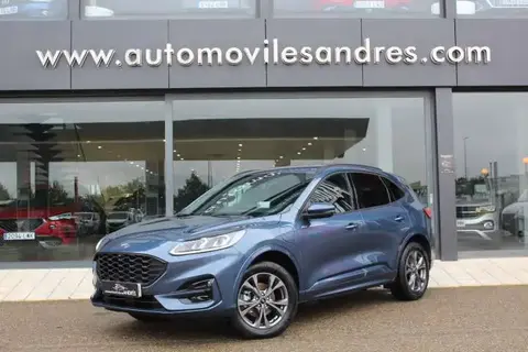 Used FORD KUGA Hybrid 2023 Ad 