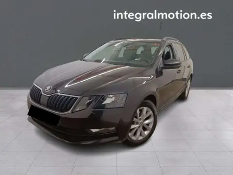 Used SKODA OCTAVIA Petrol 2020 Ad 