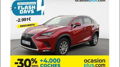 Annonce LEXUS NX Hybride 2019 d'occasion 