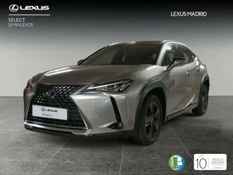 Annonce LEXUS UX Hybride 2020 d'occasion 