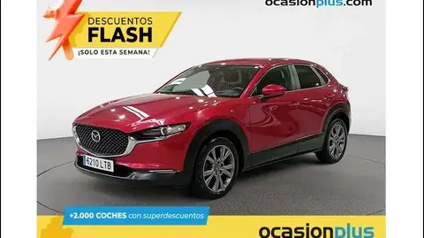 Annonce MAZDA CX-30 Essence 2021 d'occasion 