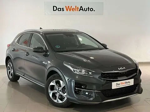 Used KIA XCEED Petrol 2022 Ad 