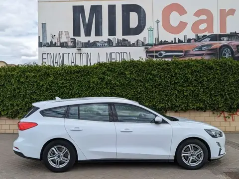 Used FORD FOCUS Diesel 2019 Ad 