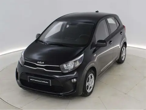 Annonce KIA PICANTO Essence 2023 d'occasion 