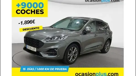 Annonce FORD KUGA Essence 2022 d'occasion 