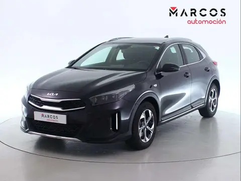 Used KIA XCEED Petrol 2022 Ad 