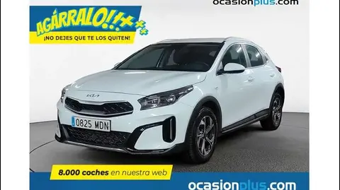 Annonce KIA XCEED Essence 2023 d'occasion 