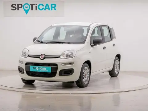 Annonce FIAT PANDA Essence 2022 d'occasion 