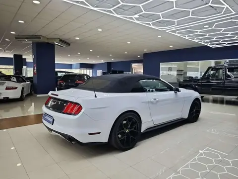 Used FORD MUSTANG Petrol 2015 Ad 