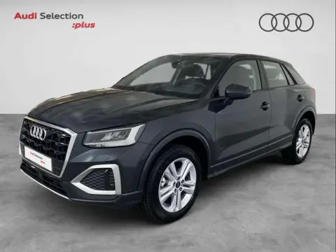 Annonce AUDI Q2 Essence 2024 d'occasion 