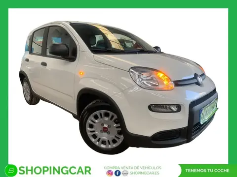 Annonce FIAT PANDA  2024 d'occasion 